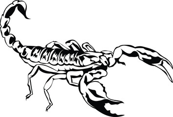 Cartoon Black and White Isolated Illustration Vector Of A Scorpion with Raised Stinger