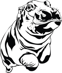 Cartoon Black and White Isolated Illustration Vector Of A Swimming Hippo