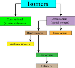 The different types of isomers. Stereochemistry focuses on stereoisomers.Vector illustration.