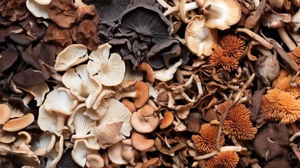 Foto op Aluminium Mixed dried mushroom. Assortment of dried mushrooms. Different species of dry fungi. AI Generative © Witri