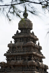 Shore temple with natural trees in foreground. Ancient seashore historical temple constructed in 7th century A.D at Mahabalipuram, a Unesco World Heritage Site in Tamilnadu.