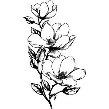 Magnolia flower vector design, Vertical Floral arrangement black silhouette, Magnolia SVG, blooming flowers printable png images, Sublimation designs