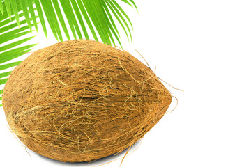 organic whole coconut fruit with leaves,cutout in transparent background,png format
