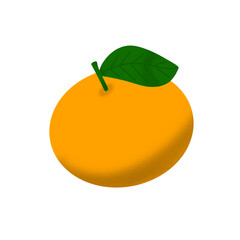 Sweet orange and mandarin fruit illustration