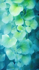 Garden Ivy Hazy Blue Green Naturel Plant Vines Web Background App Wallpaper