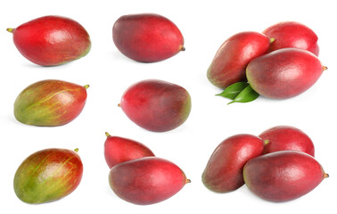 Fresh mango fruits isolated on white, set