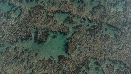 Fototapeta na wymiar Praia de Ponta Verde- Maceió- AL - Foto de drone 