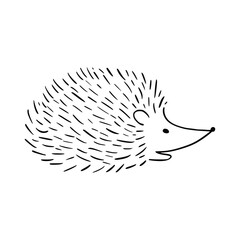 Cartoon doodle cute hedgehog - isolated vector illustration. Hand-drawn adorable hedgehog on his back. Spiny mammal. Forest animals. Vector illustration for children.