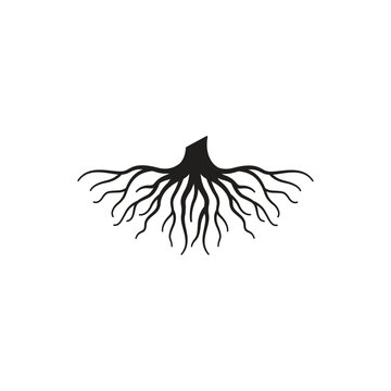 recommend clip art: root icon vector