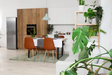 Palm leaves in modern kitchen, closeup
