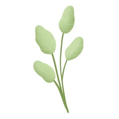Obraz premium green leaf plant