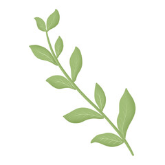 green leaf plant