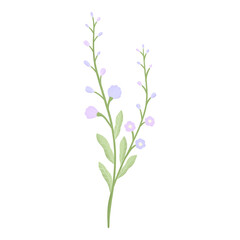 purple flower blossom