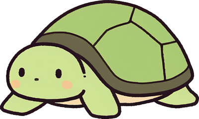 turtle