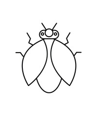bug icon, vector best line icon.