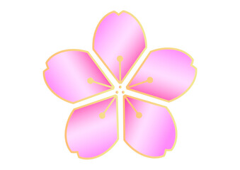 ピンク色と金色の桜の花のイラスト素材
