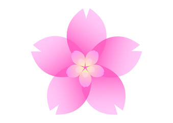 重咲きの桜の花のイラスト素材
