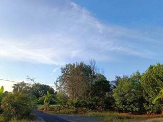 blue sky in countryside with many green trees