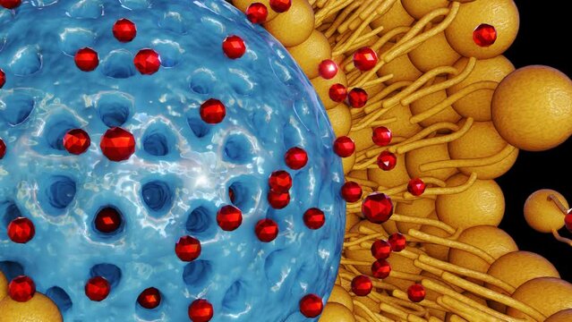 Lipid bilayer-coated mesoporous silica nanoparticles: Emerging nanocarriers for targeted drug delivery and 3D-rendered nanomedicine release
