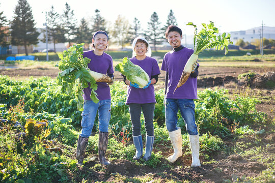 野菜の収穫をする日本の親子