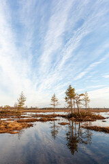 Clouds over the wetlands on a spring day