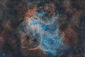 Lion nebula 8