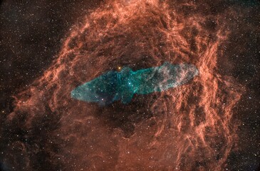 Flying Bat and Giant Squid Nebula 2