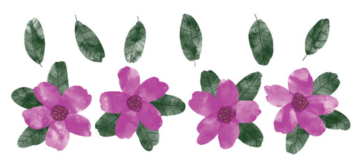 Watercolor flowers set, hand painted isolated on white background.