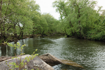 Fototapeta na wymiar The Tuckasegee river flowing near Bryson city North Carolina