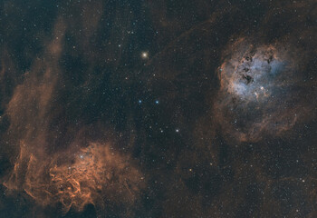 Flaming Star and Tadpole Nebula 5