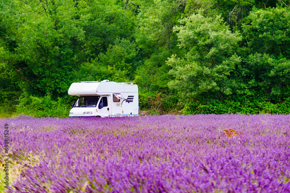 Wall mural Caravan camping at lavender field, France