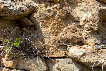 the wall of a mountain canyon made of natural material, stone - limestone material of volcanic...