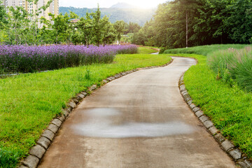 Cement pathway in the park