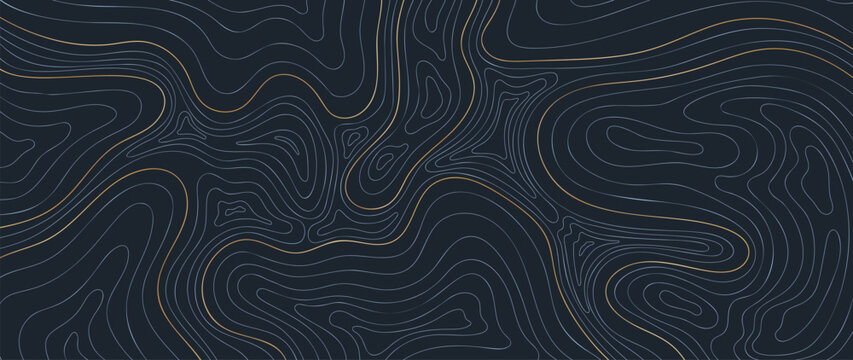 Topographic map pattern background vector. Luxury abstract mountain terrain map background with abstract shape line texture. Design illustration for wall art, fabric, packaging,web, banner, wallpaper.