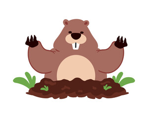 groundhog funny animal