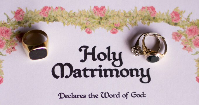 Wedding Program Pamphlet for Alternative Wedding with Alternative Engagement Wedding Rings 