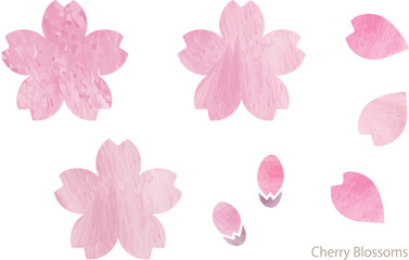 水彩絵の具テクスチャー、桜の花のシルエットのベクターイラスト