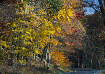Leaf Peeping - Harriman State Park