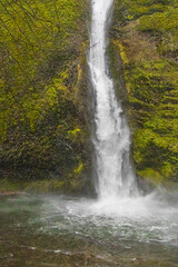 Fototapeta na wymiar Horsetail Falls - Columbia River Gorge 001