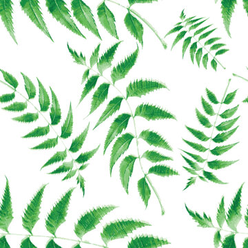 seamless pattern with green leaves, a seamless pattern with green Neem leaves vector design with water color, repeated pattern, fabric print, textile design 