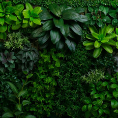 plant wall, natural green wallpaper and background. nature wal