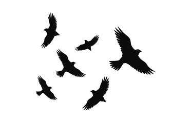 A flock of birds Silhouette isolated on a white background, Flying birds black Vector