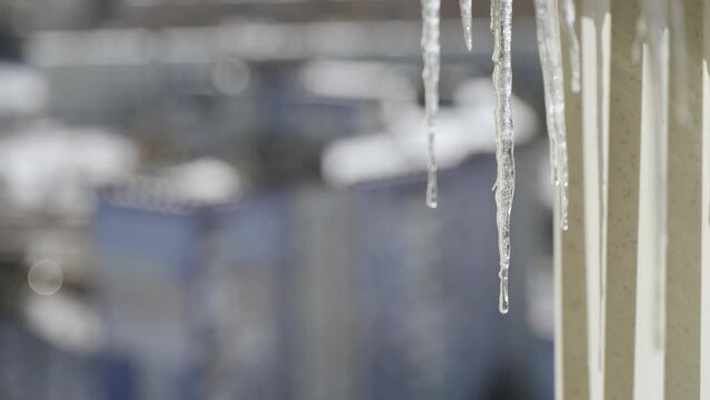 Melt water drips from ice icicles on sunny day on tall building. Spring drops against backdrop of big city and change of season. Dangerous period for icicles falling from buildings.