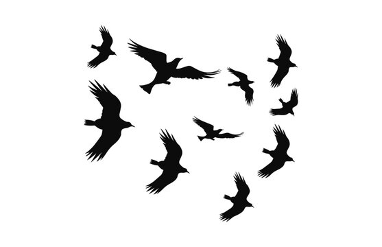 A flock of birds Silhouette isolated on a white background, Flying birds black Vector