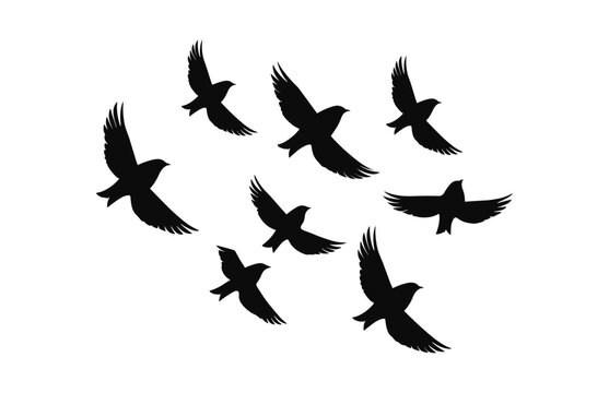 A Flock Flying Birds black Silhouette vector