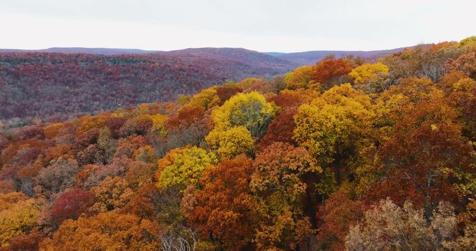 Aerial View Of Colorful Trees In Autumn, Devil's Den State Park, Arkansas, USA - Drone Shot