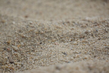 Macro of sand ripples on the beach, good lighting, texture
