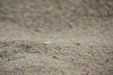 Fototapeta na wymiar Macro of sand ripples on the beach, good lighting, texture