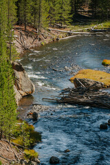 Mountain forest river steam waterfall fallen logs. Beautiful clear water mountain stream, Rocks and fallen timber logs form waterfalls. Forest nature in natural environment.
