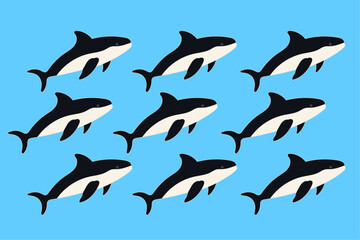 killer whale or orca vector with blue background